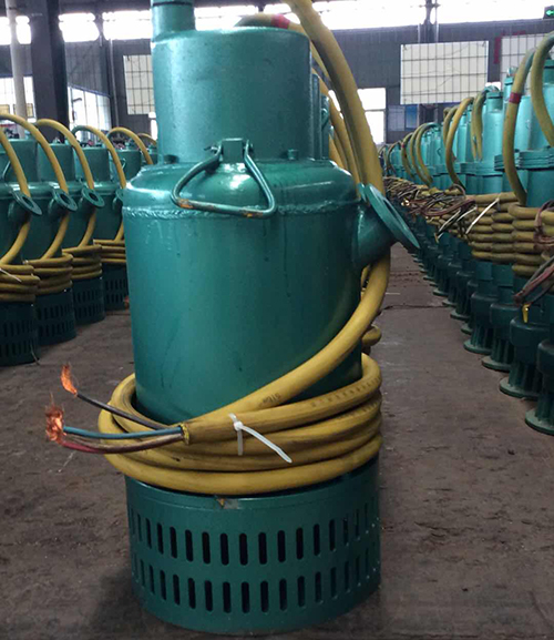 防爆排污(wu)泵圖片 防(fang)爆排污泵(beng)圖片